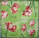057 Tulips - 3-ply (grün) - Ihr